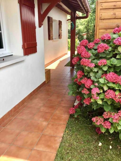 1Km Plage, Agreable Maison 6 Pers Classee 3* Hendaye Zewnętrze zdjęcie